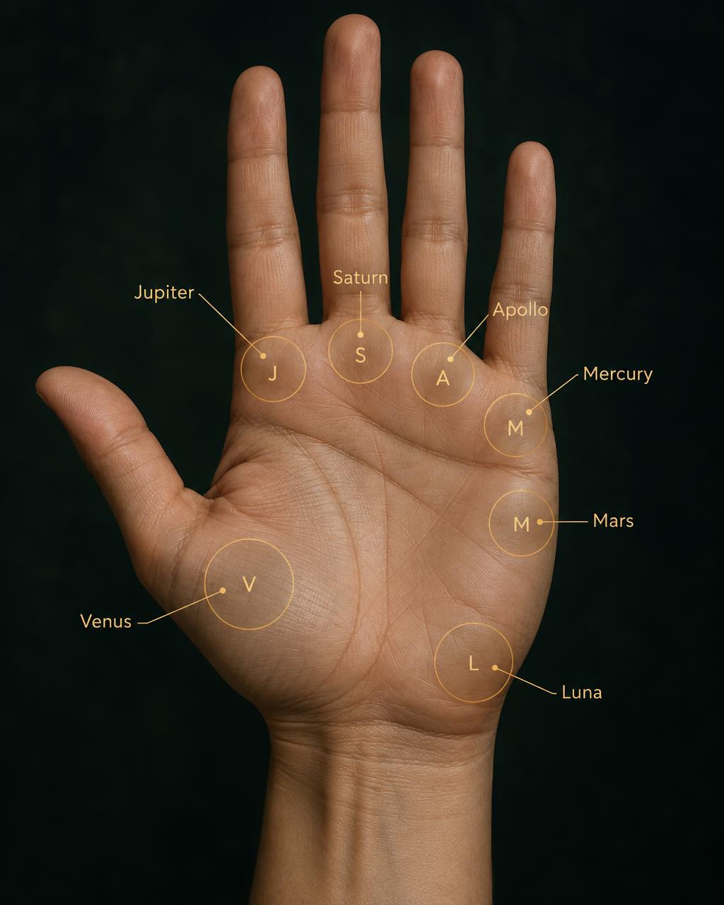 Reference palm showing all seven mounts, circled and named